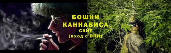 PSILOCYBIN Балабаново